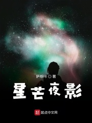 星芒夜影