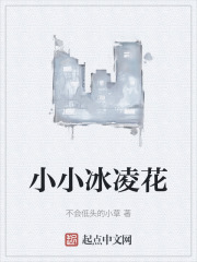 小小冰凌花