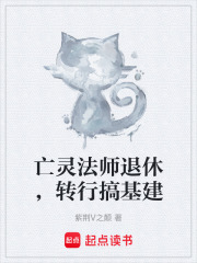 亡灵法师退休，转行搞基建