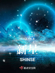 新星SHINSE