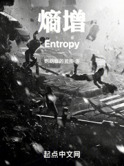 熵增Entropy