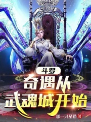 斗罗：奇遇从武魂城开始