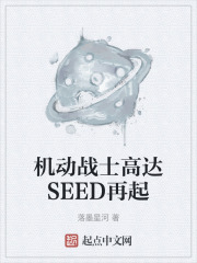 机动战士高达SEED再起