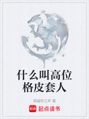 什么叫高位格皮套人